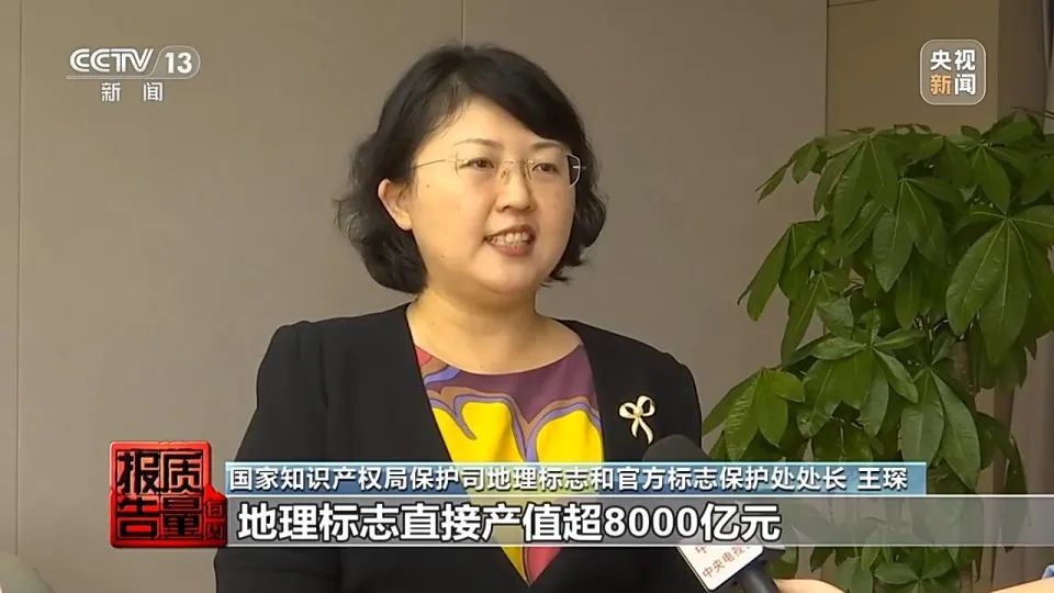 2024新奥门原料免费资料