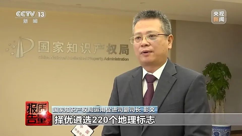 2024新奥门原料免费资料